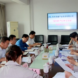 ˾_(ki)(qing)h(yn)o(j)ٰl(f)չ(zhun)(xing)I(lng)(do)ӌ(zhun)}(hu)